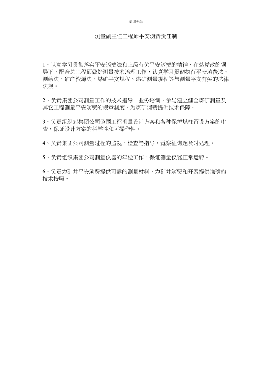 2023年测量副主任工程师安全生产责任制范文.docx_第1页