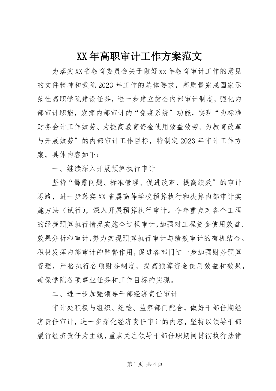 2023年高职审计工作计划.docx_第1页