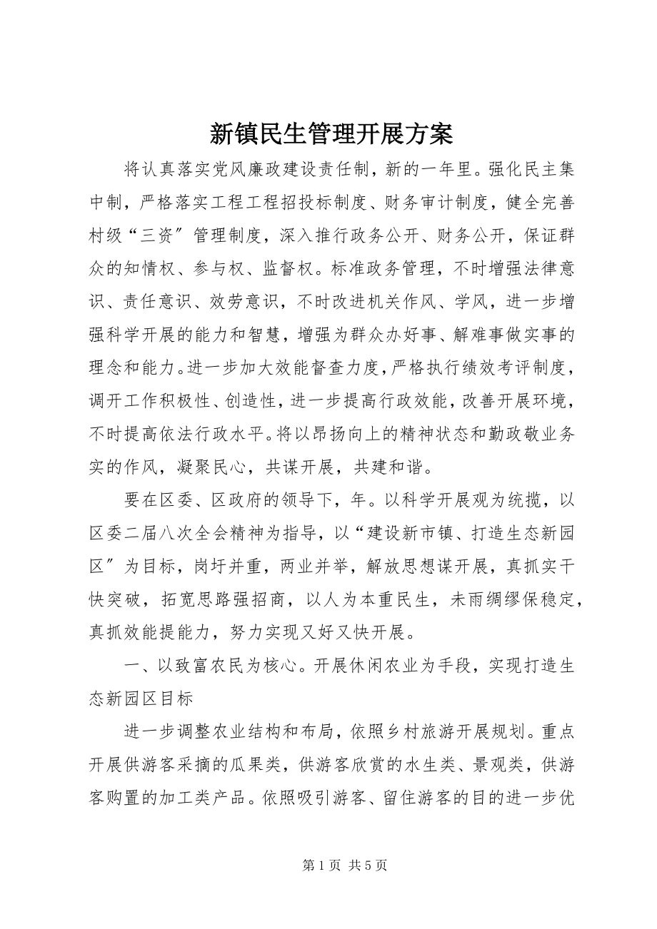 2023年新镇民生管理发展计划.docx_第1页