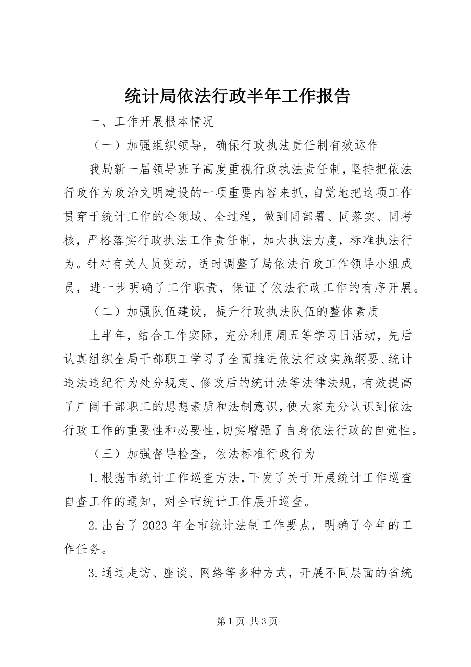 2023年统计局依法行政半年工作报告.docx_第1页