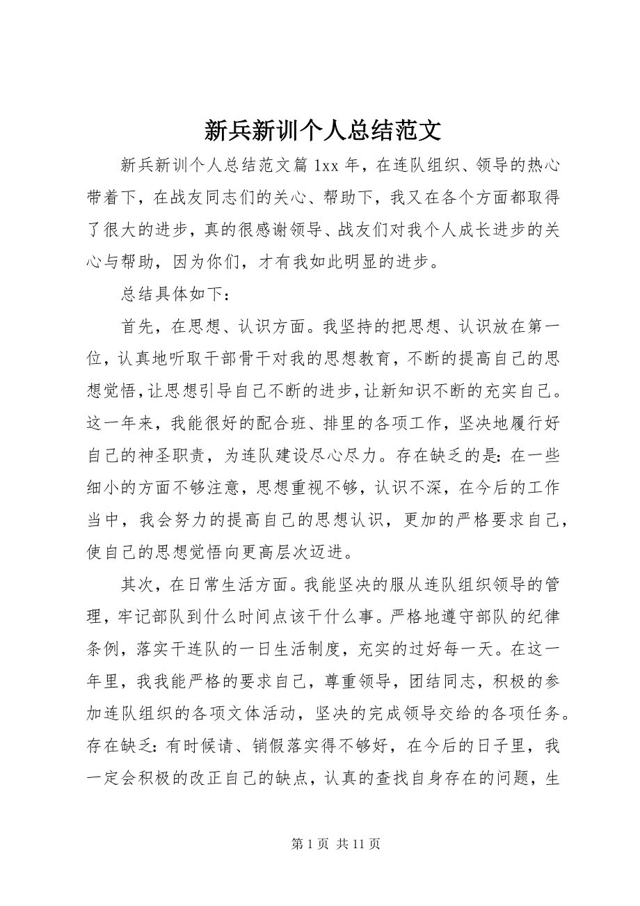 2023年新兵新训个人总结.docx_第1页