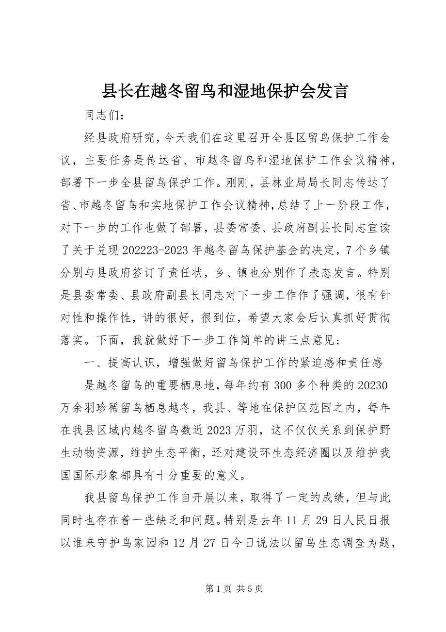 2023年县长在越冬候鸟和湿地保护会讲话.docx_第1页