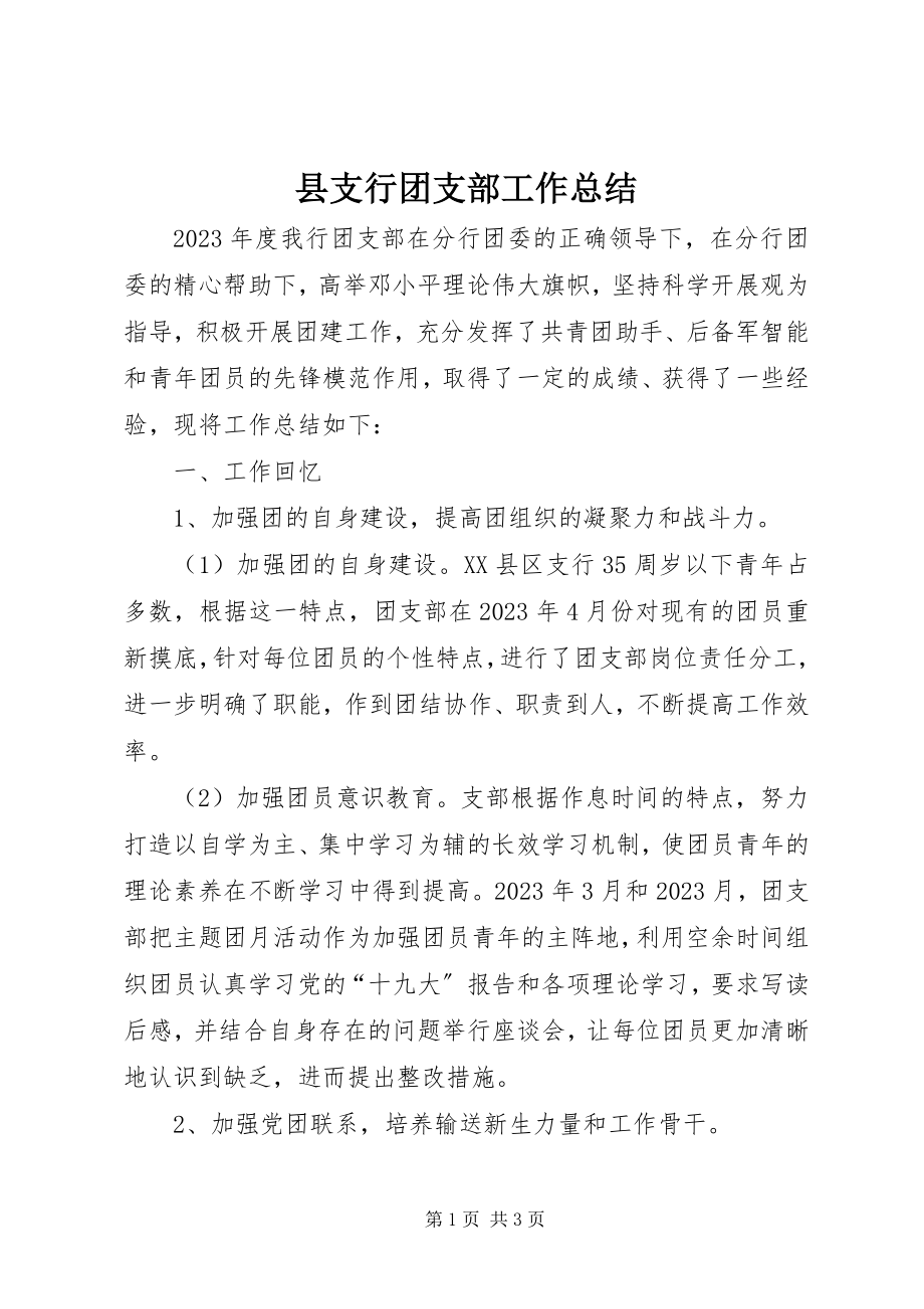 2023年县支行团支部工作总结.docx_第1页