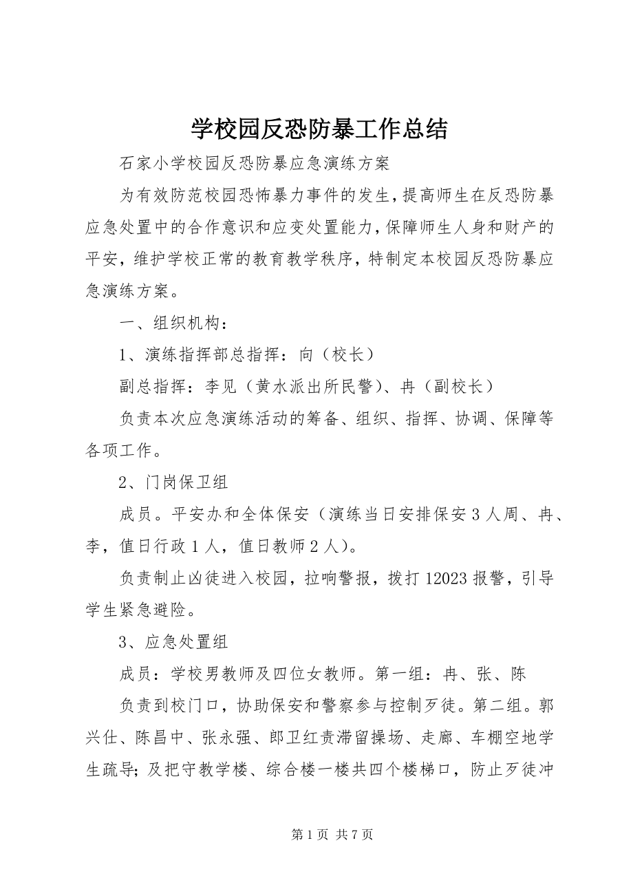 2023年学校园反恐防暴工作总结.docx_第1页