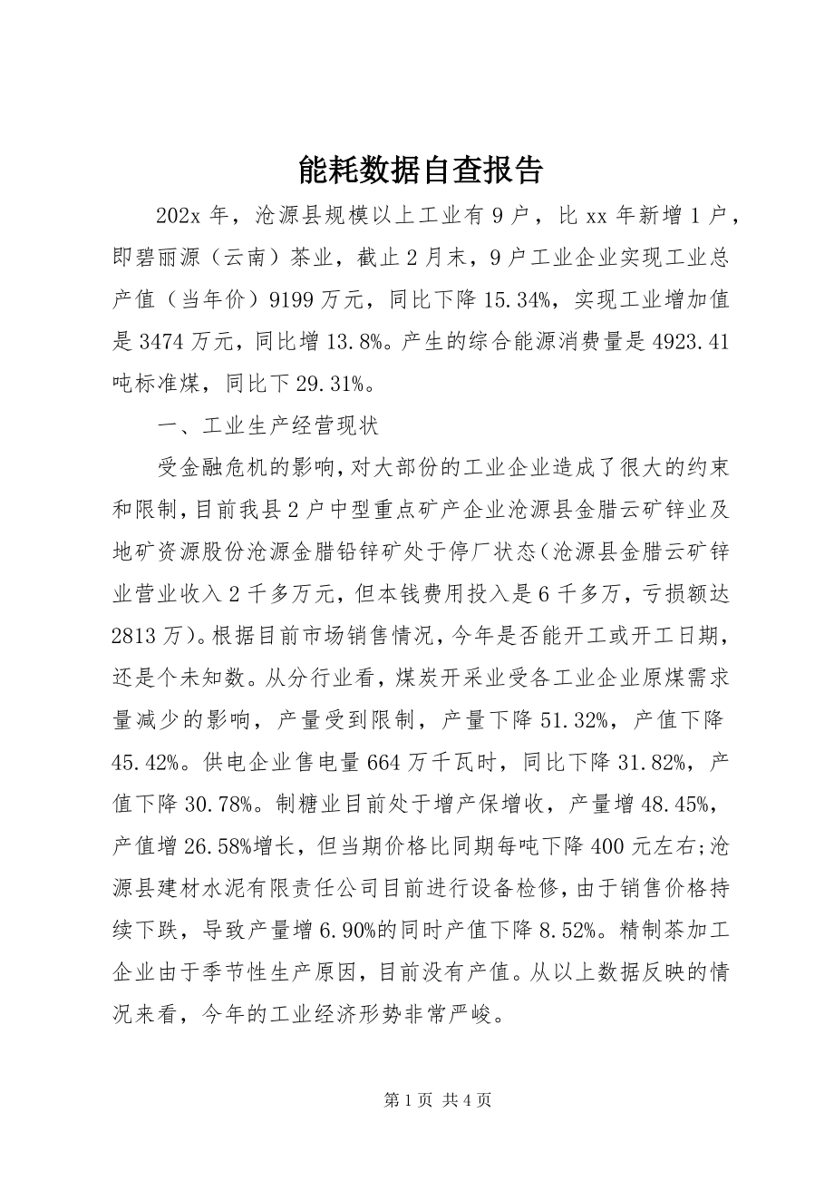 2023年能耗数据自查报告.docx_第1页