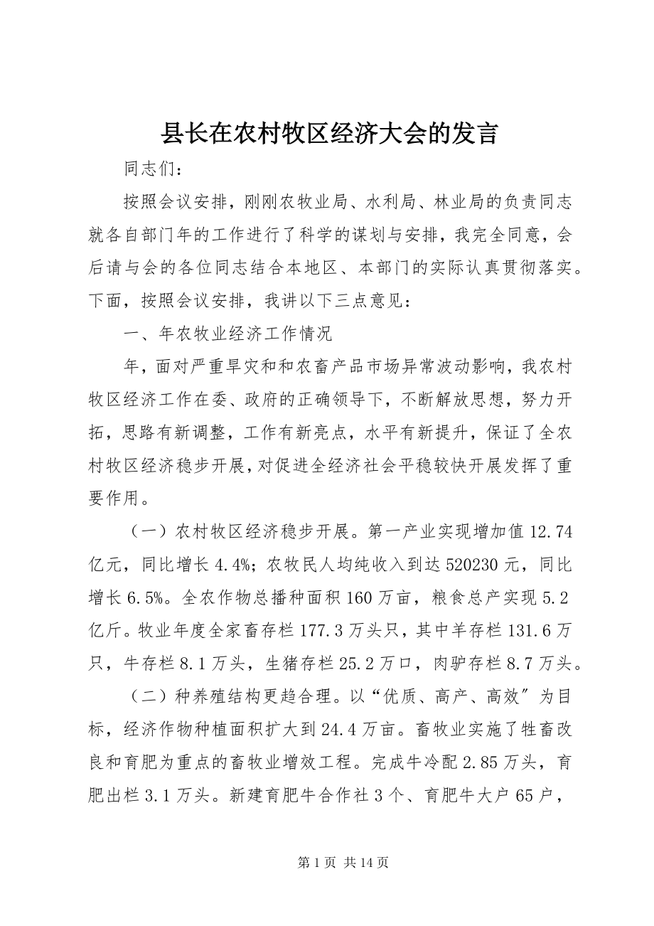 2023年县长在农村牧区经济大会的讲话.docx_第1页