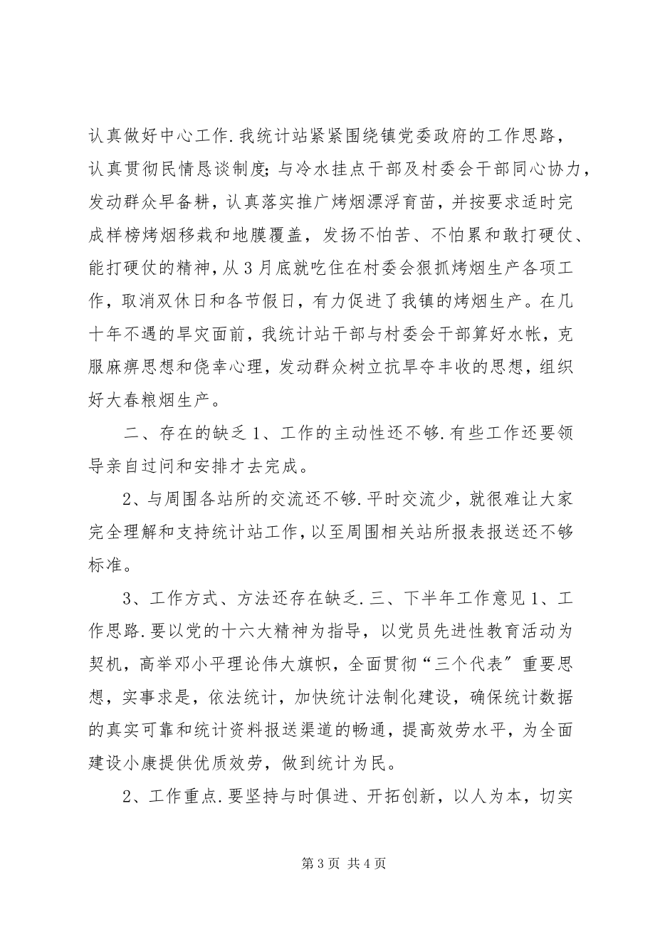 2023年统计站XX上半年工作总结及下半年工作计划.docx_第3页