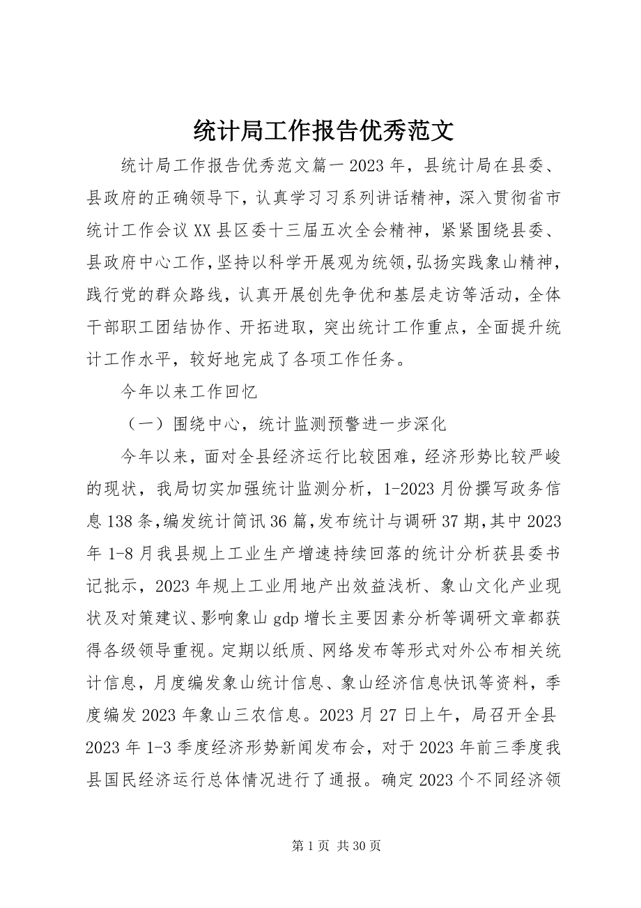 2023年统计局工作报告优秀.docx_第1页