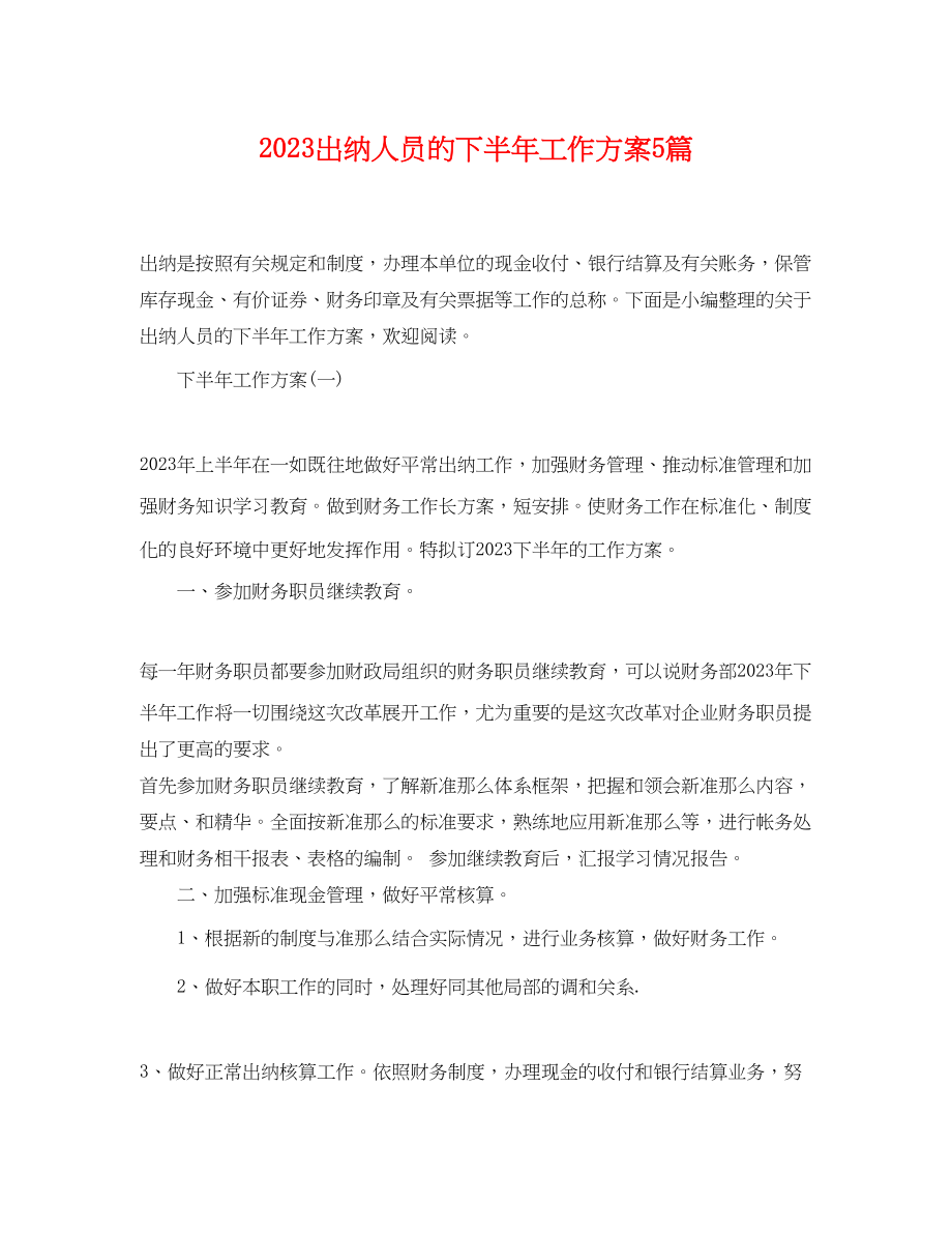 2023年出纳人员的下半工作计划5篇范文.docx_第1页