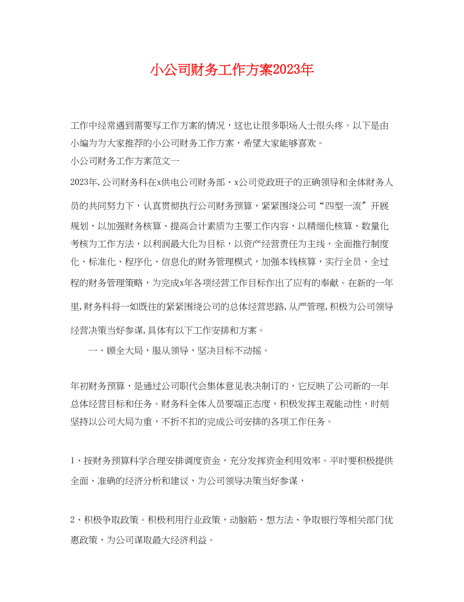 2023年小公司财务工作计划范文.docx_第1页