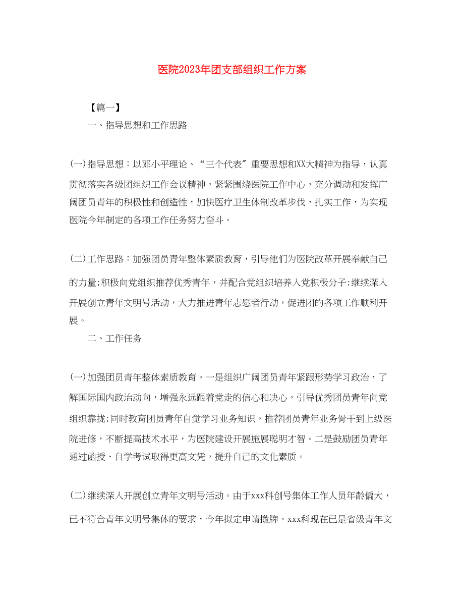 2023年医院团支部组织工作计划范文.docx_第1页