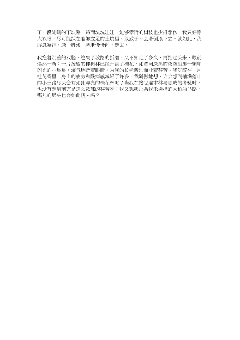 2023年我选择的路七级作文范文.docx_第2页