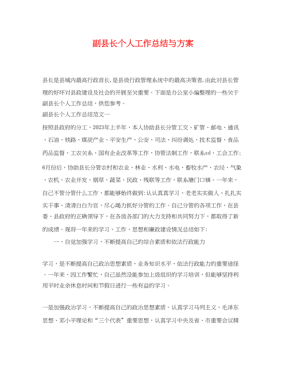 2023年副县长个人工作总结与计划范文.docx_第1页