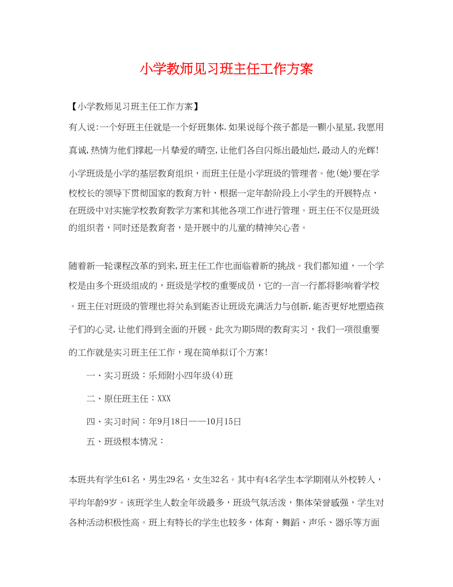 2023年小学教师见习班主任工作计划范文.docx_第1页