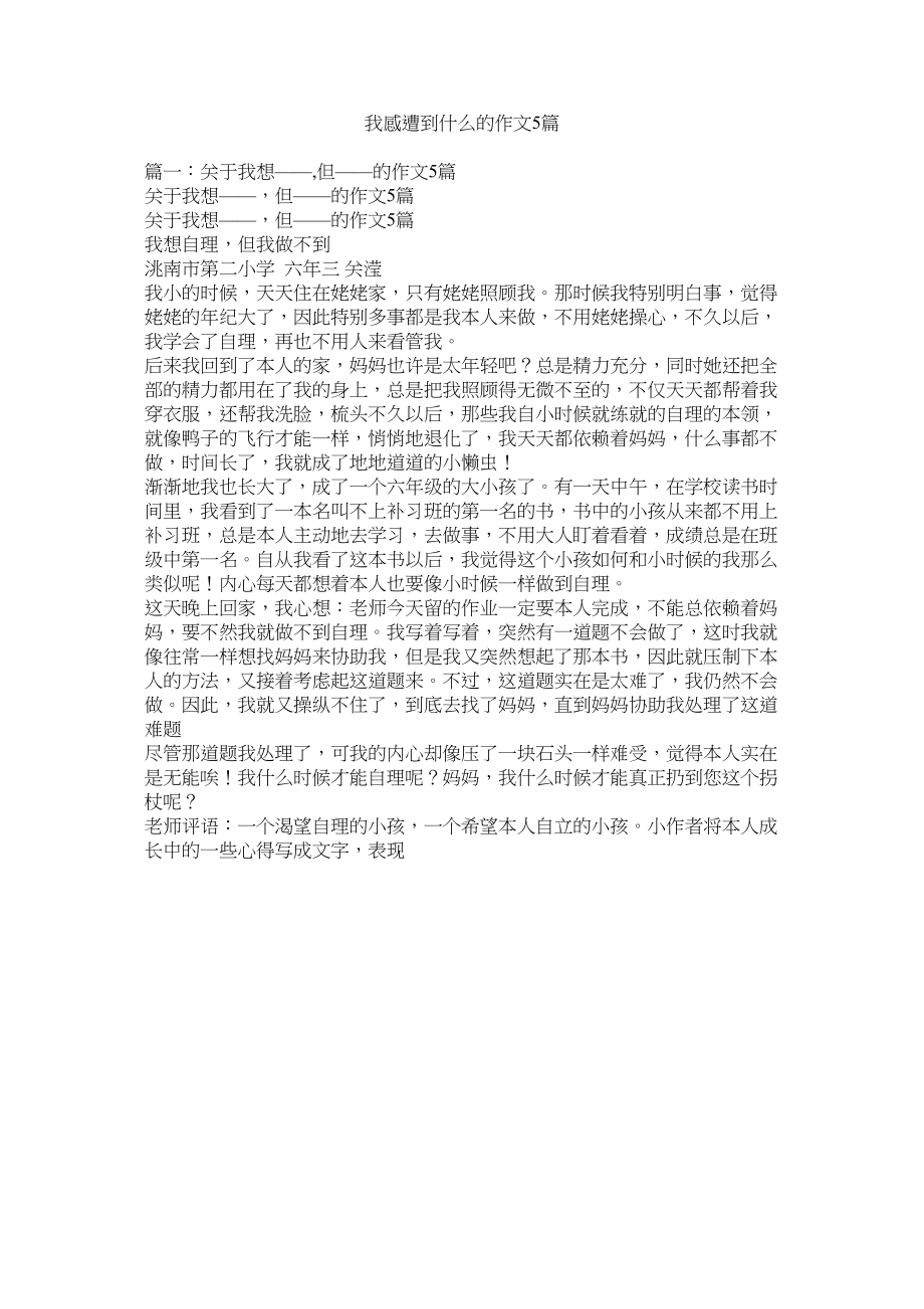 2023年我感受到什么的作文5篇.docx_第1页