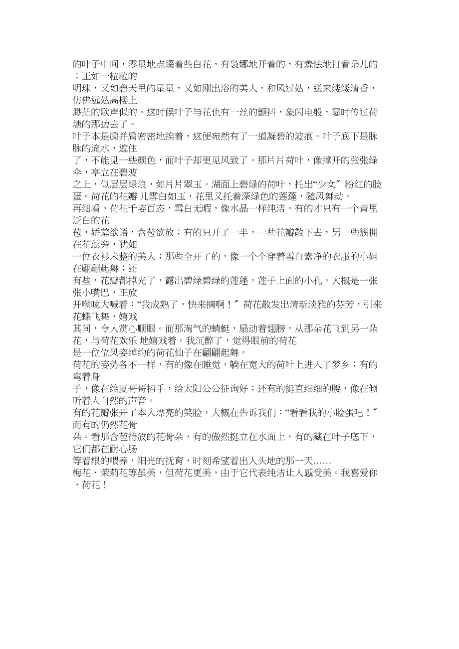 2023年说明文ۥ作文600字范文.docx_第3页