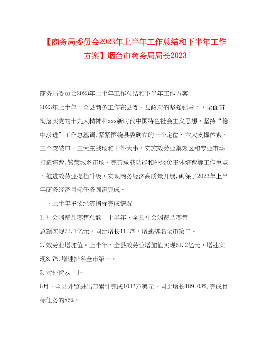 2023年商务局委员会上半工作总结和下半工作计划烟台市商务局局长范文.docx_第1页