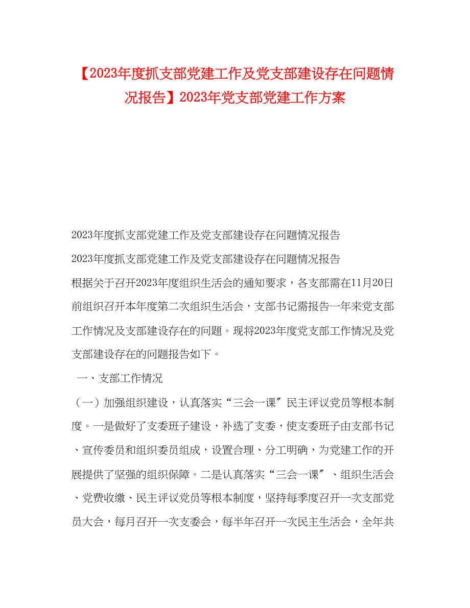 2023年度抓支部党建工作及党支部建设存在问题情况报告党支部党建工作计划范文.docx_第1页