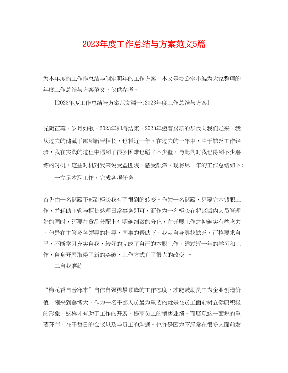 2023年度工作总结与计划5篇范文.docx_第1页