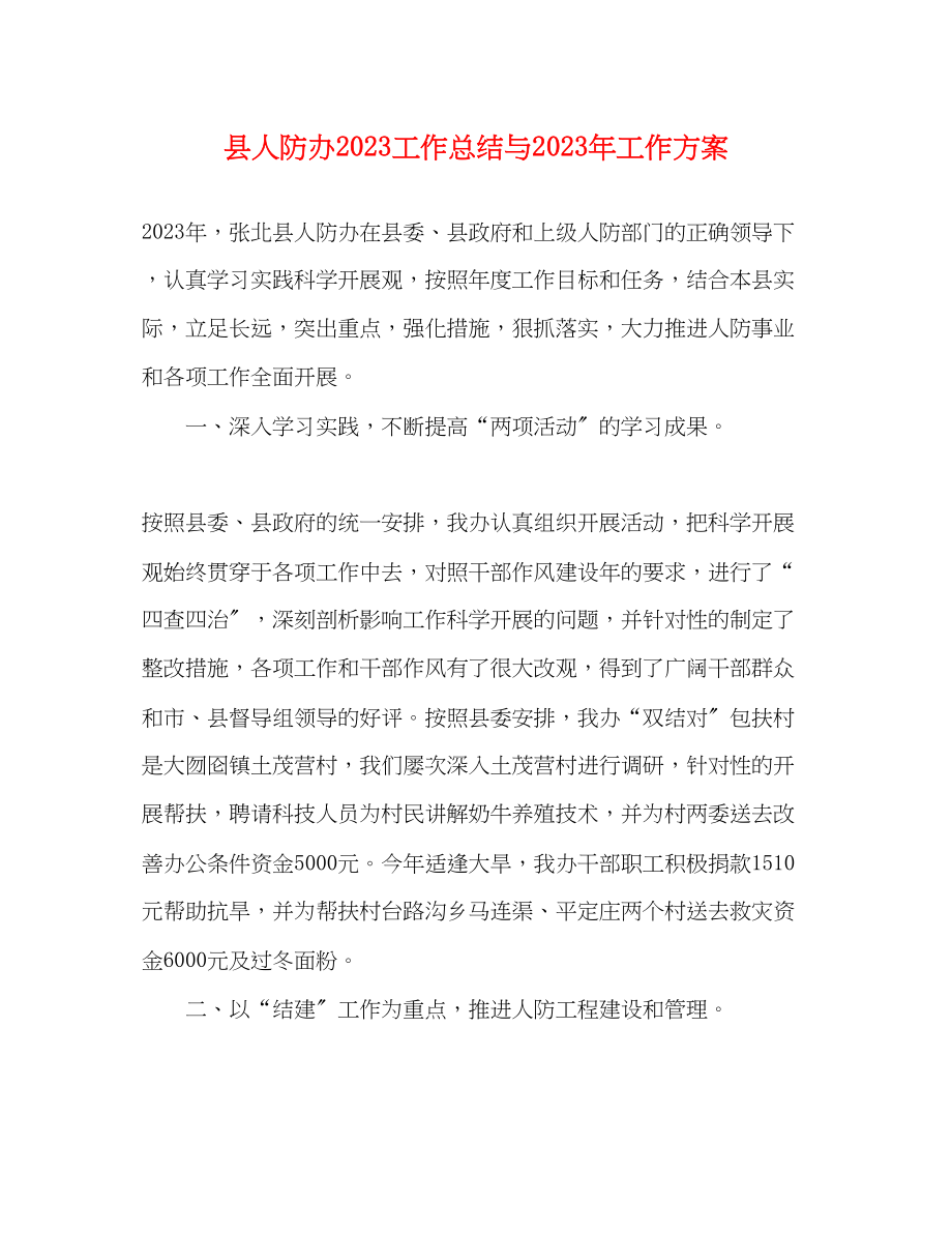 2023年县人防办工作总结与工作计划范文.docx_第1页