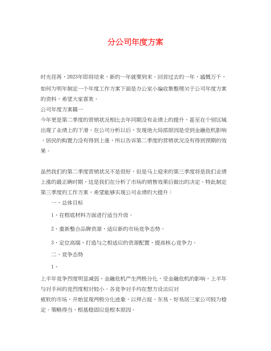 2023年分公司度计划范文.docx_第1页