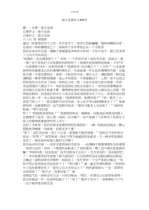 2023年街头见闻作文800字.docx