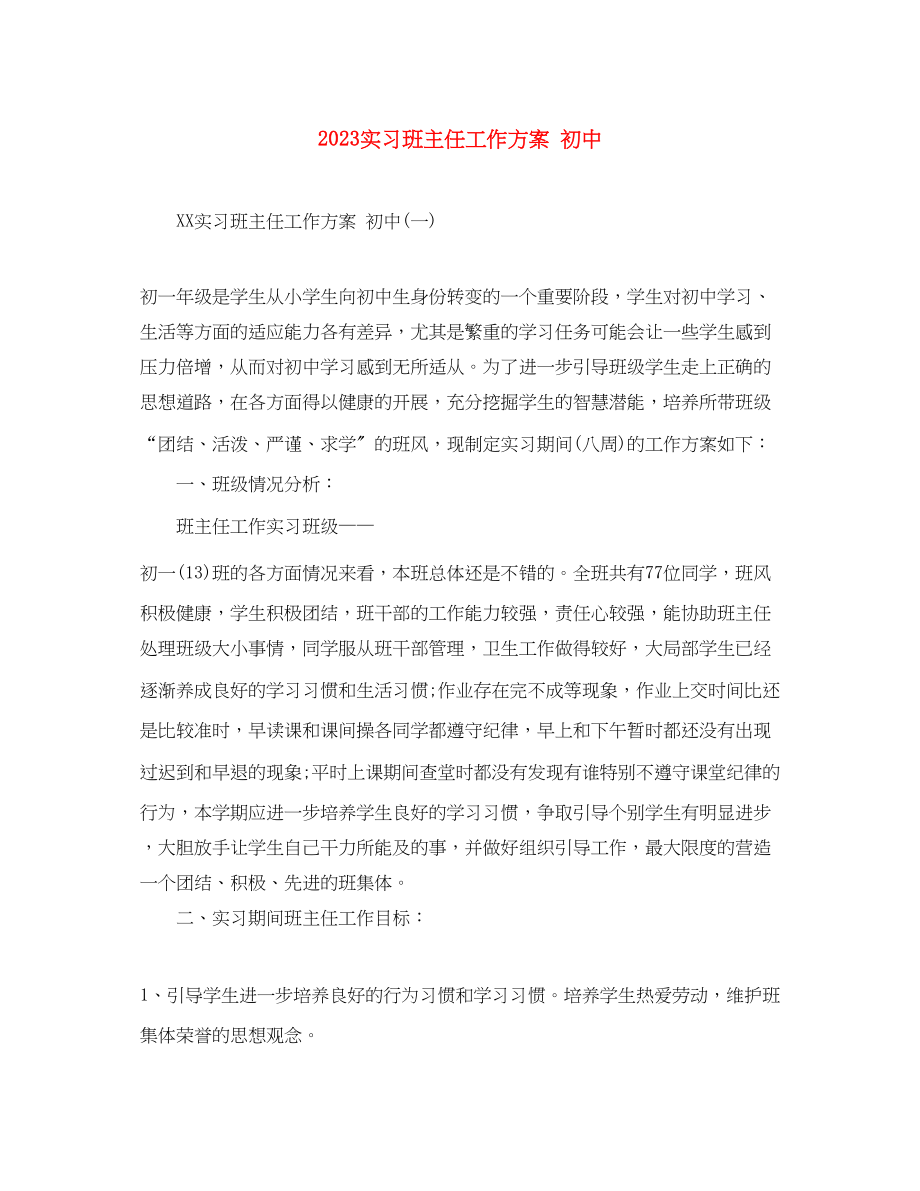 2023年实习班主任工作计划初中范文.docx_第1页