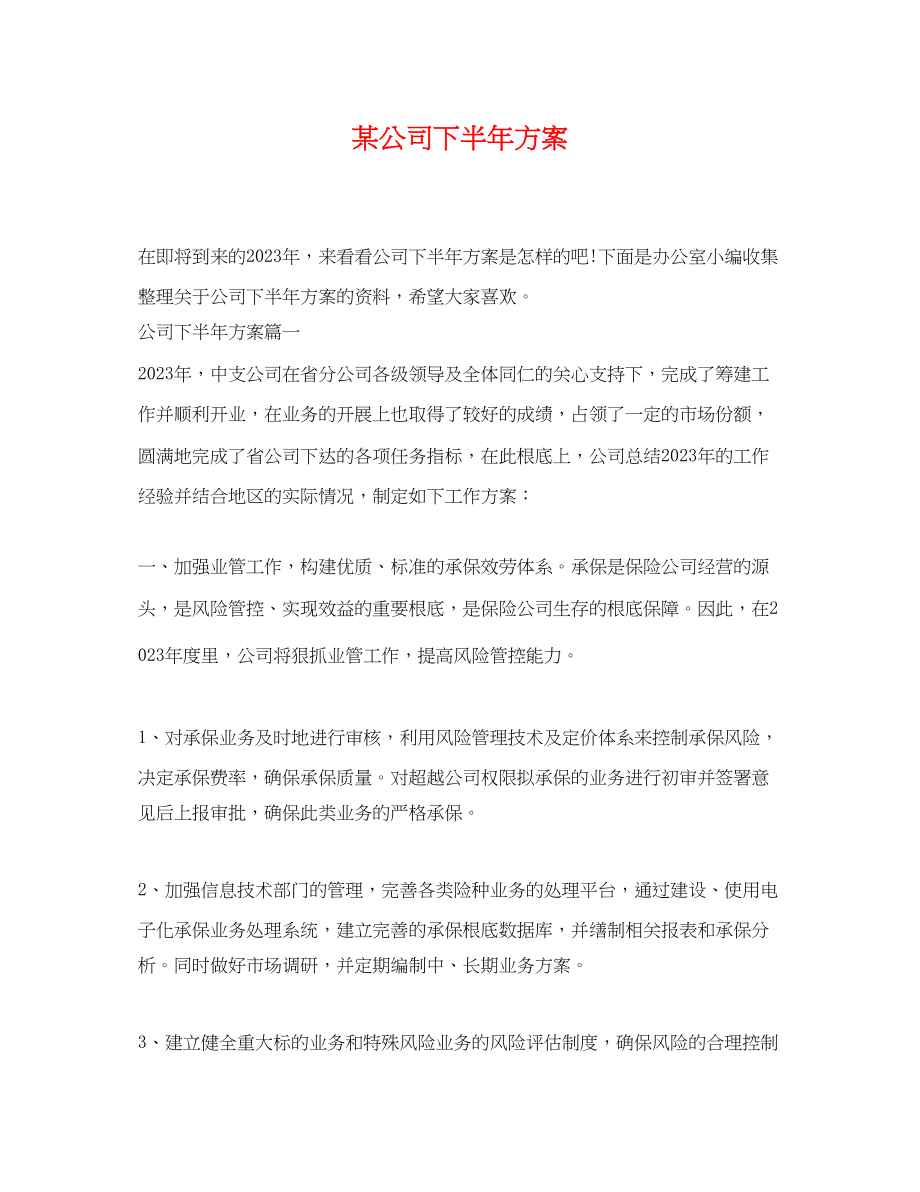 2023年某公司下半计划范文.docx_第1页