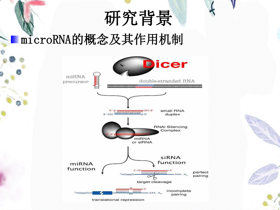 2023年结直肠癌异时性肝转移的分子标志物miRa及其生物学功能（教学课件）.ppt_第2页