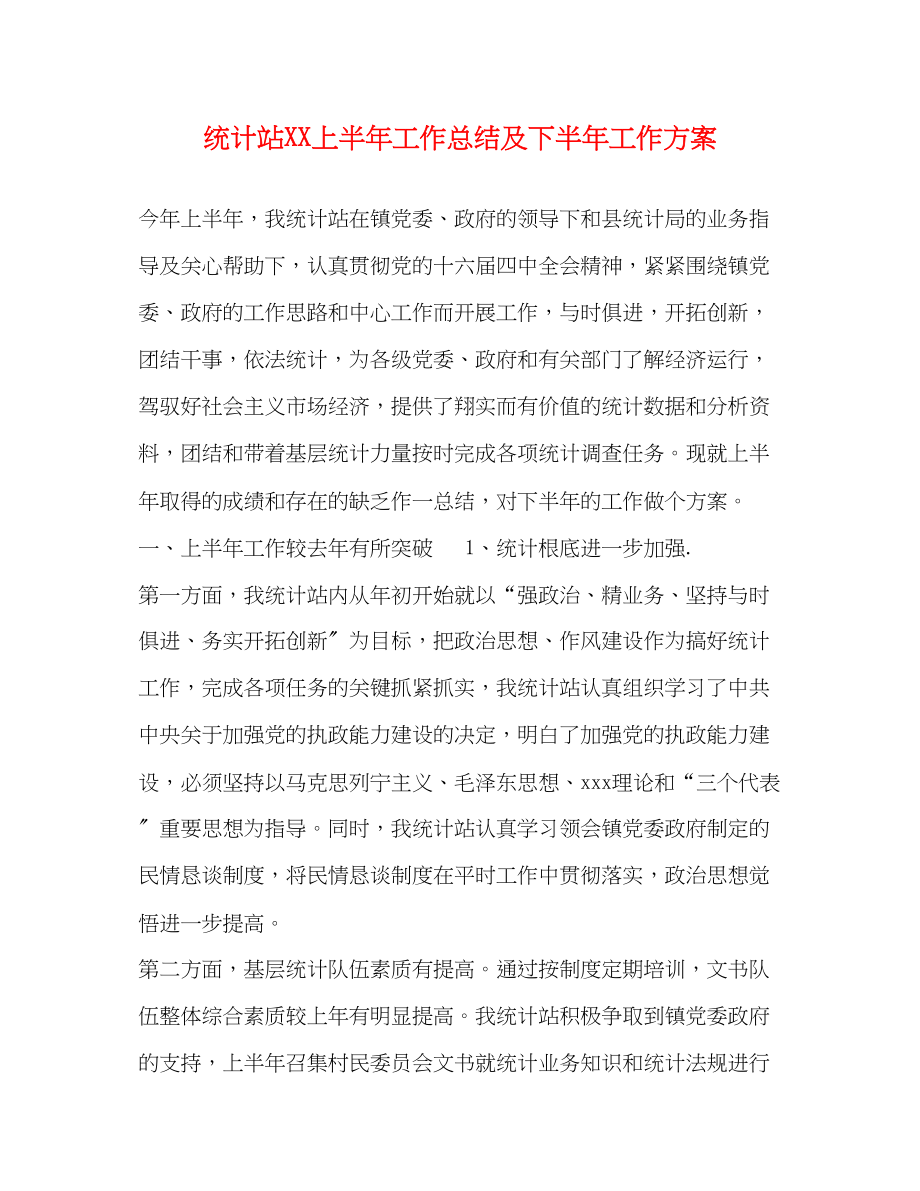 2023年统计站上半工作总结及下半工作计划范文.docx_第1页