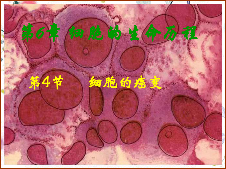 2023年高中生物细胞的癌变人教版必修1（教学课件）.ppt_第1页