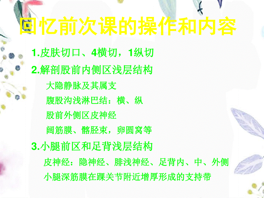 2023年股前内侧区小腿前外侧区和足背（教学课件）.ppt_第2页