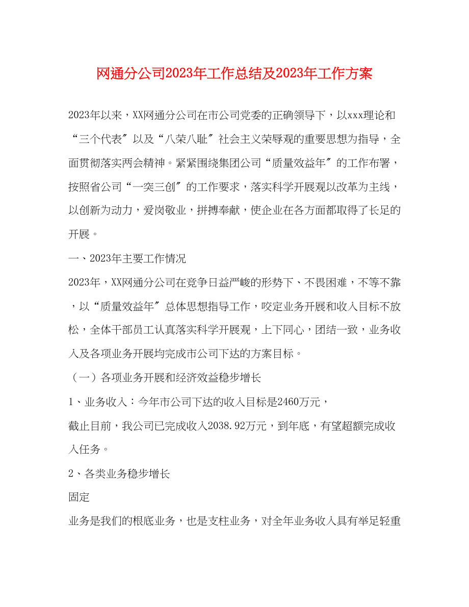 2023年网通分公司工作总结及工作计划范文.docx_第1页