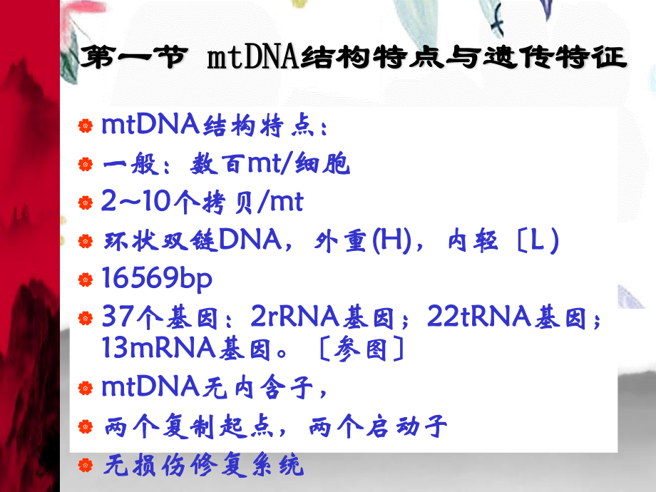 2023年线粒体遗传病1（教学课件）.ppt_第3页