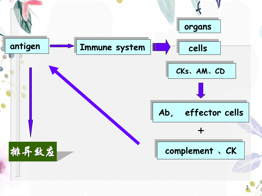 2023年免疫应答的特点及调节（教学课件）.ppt_第2页