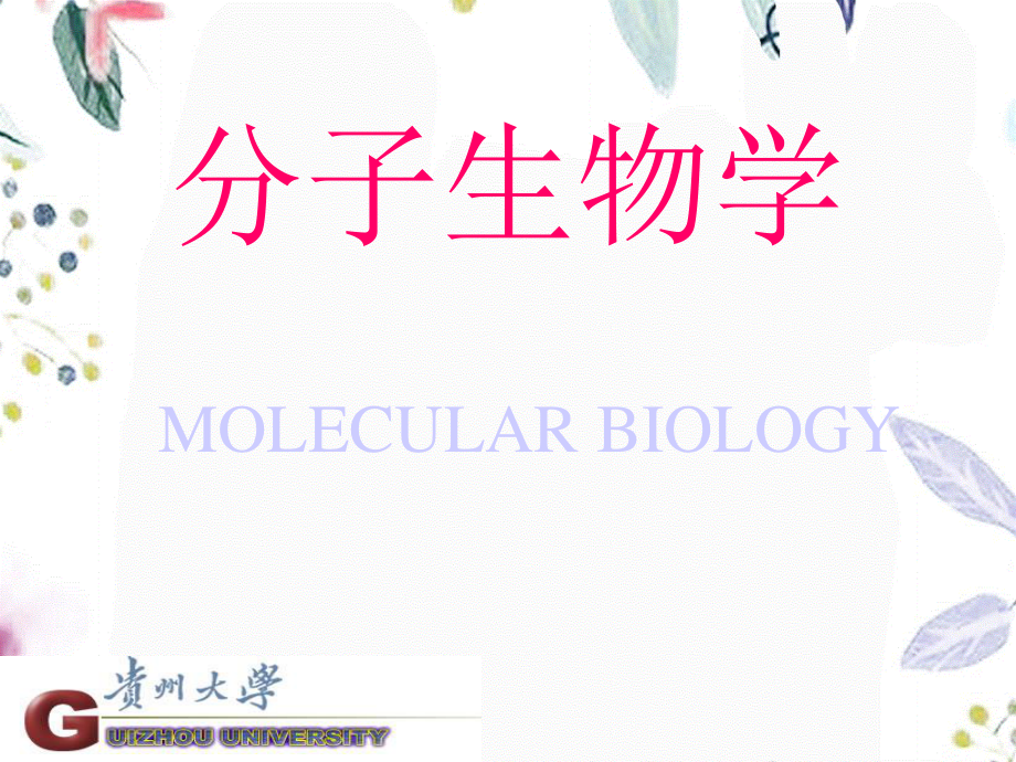 2023年绪论 分子生物学（教学课件）.ppt_第1页