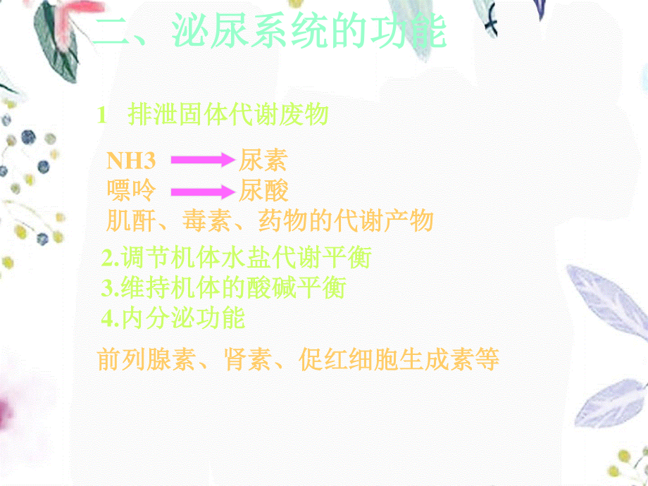 2023年泌尿系统2（教学课件）.ppt_第3页