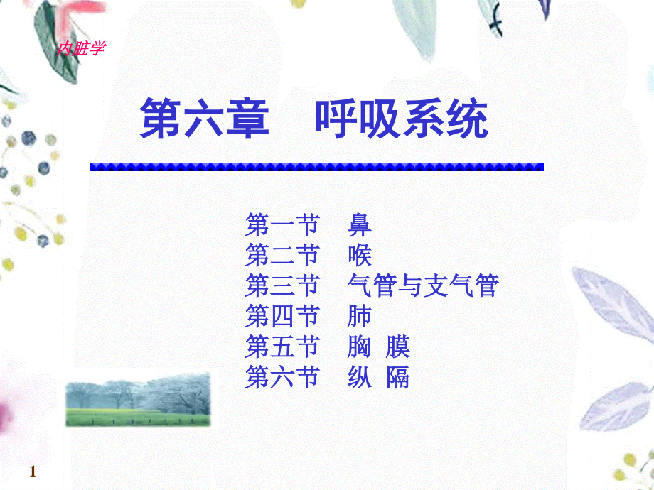 2023年呼吸系统（教学课件）.ppt_第1页