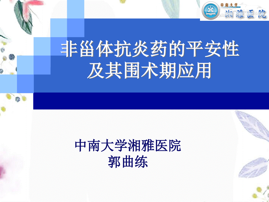 2023年围术期安全使用NS郭曲练（教学课件）.ppt_第1页