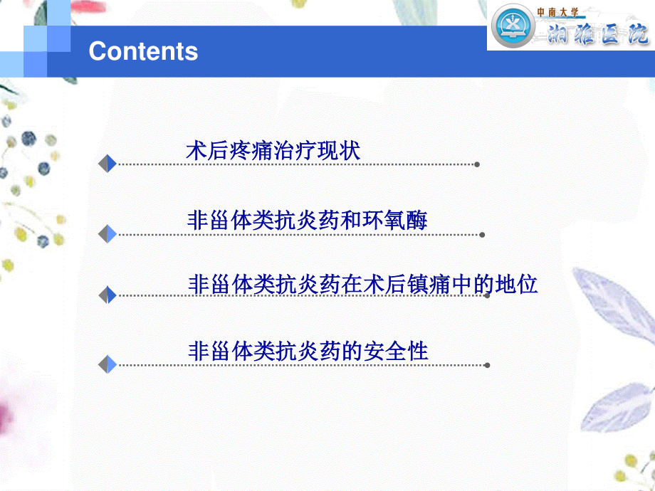 2023年围术期安全使用NS郭曲练（教学课件）.ppt_第2页