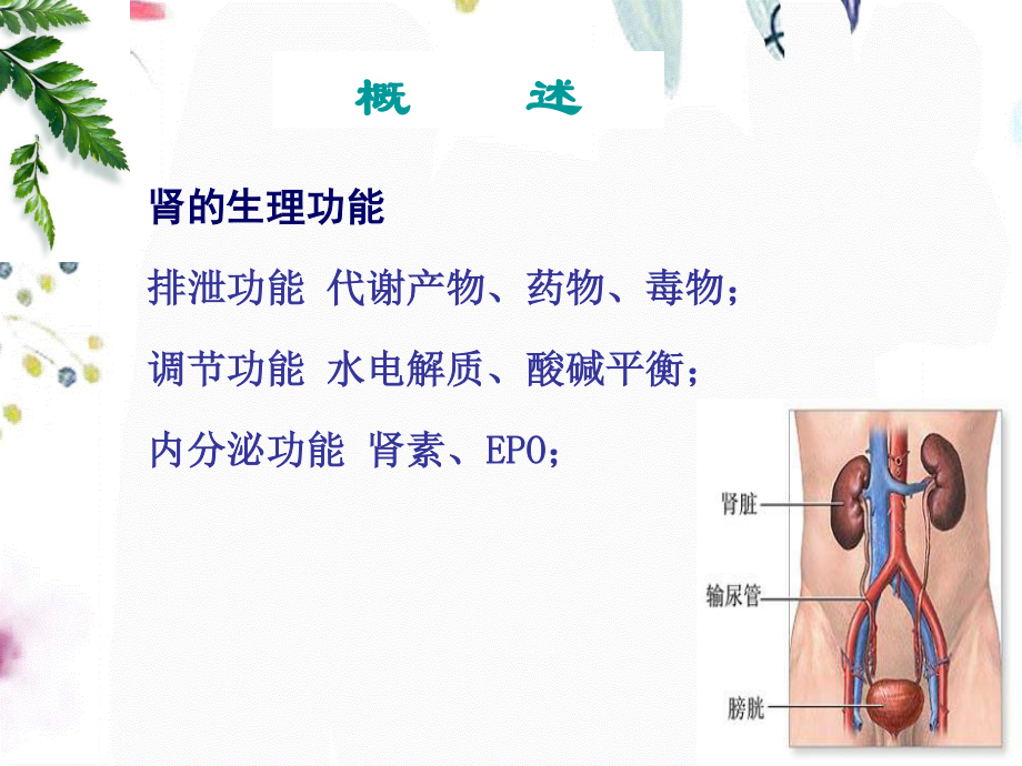 2023年肾功能不全（教学课件）.ppt_第3页