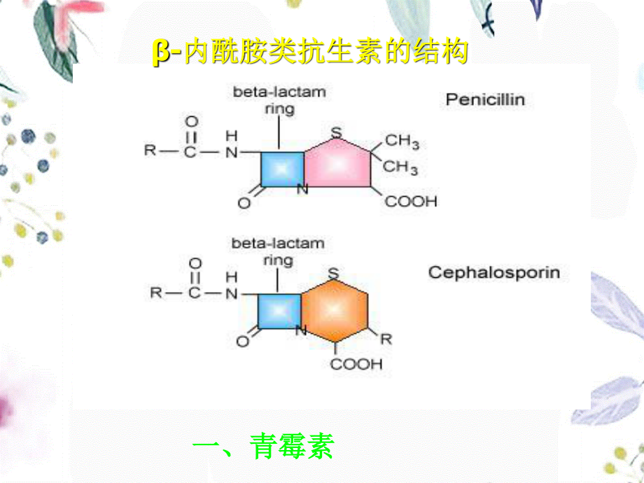 2023年青霉素及头孢（教学课件）.ppt_第2页