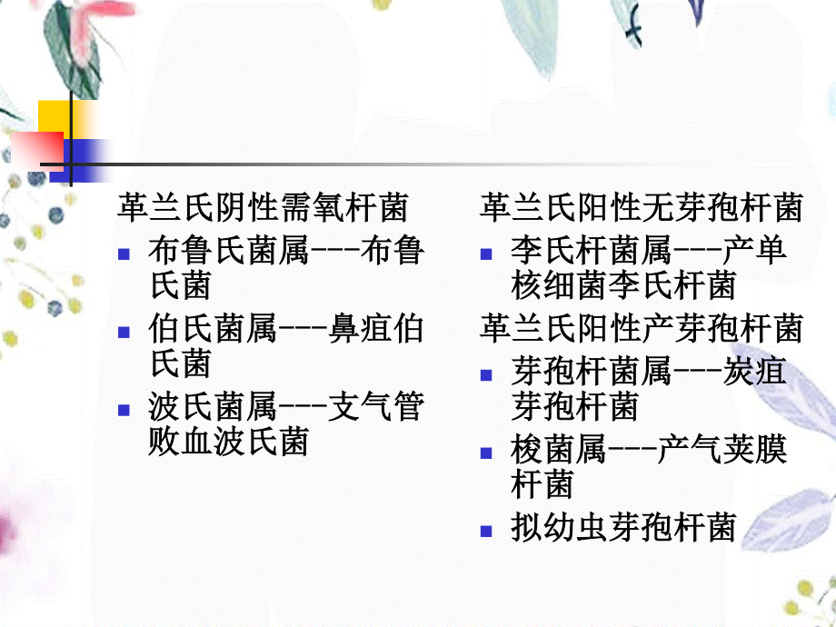 2023年主要的动物病原菌（教学课件）.ppt_第3页