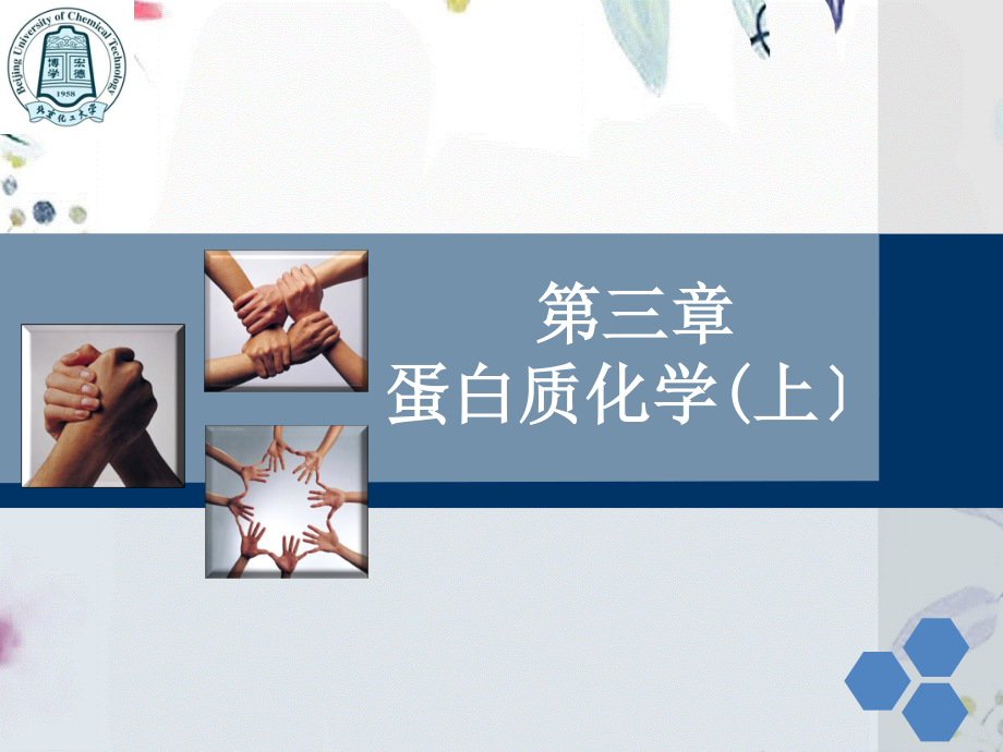 2023年蛋白质化学上（教学课件）.ppt_第1页