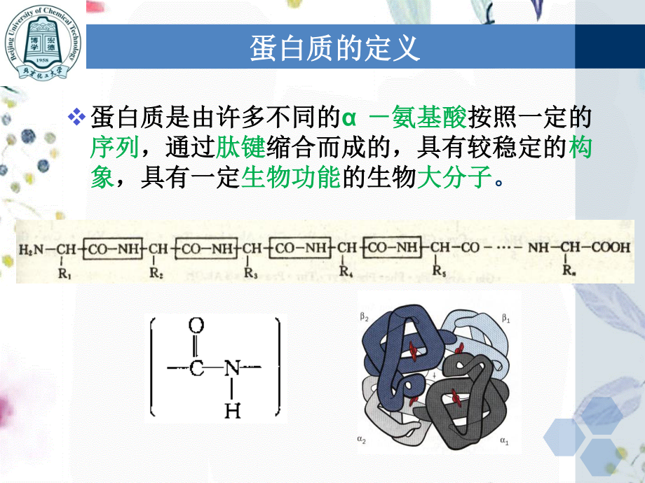 2023年蛋白质化学上（教学课件）.ppt_第3页