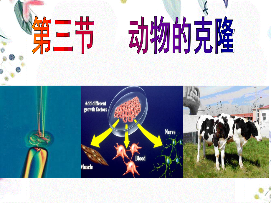 2023年动物克隆（教学课件）.ppt_第1页