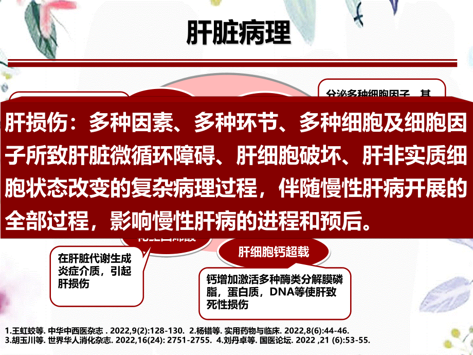 2023年袁成民主任中西医结合治疗肝损伤研究进展（教学课件）.ppt_第3页