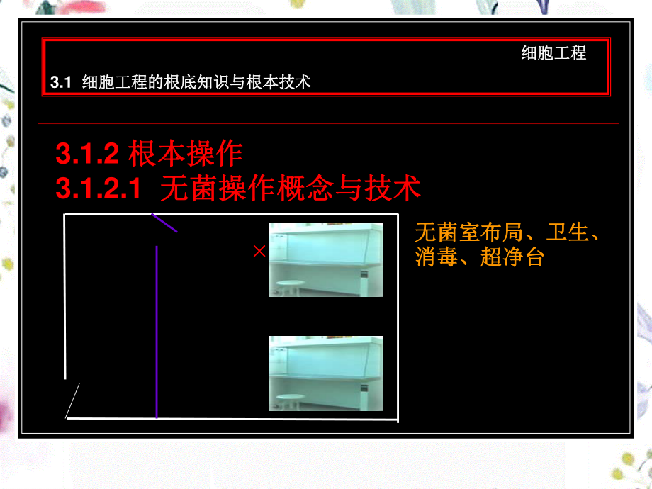 2023年细胞工程shi（教学课件）.ppt_第3页