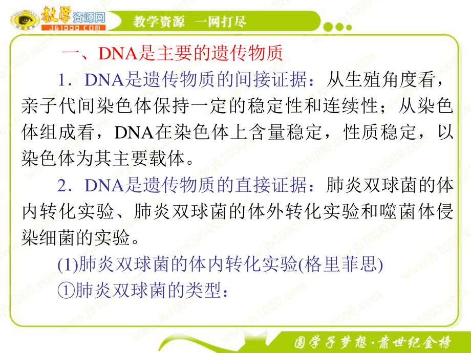 2023年届高三生物复习第讲 DNA是主要的遗传物质和DNA分子的结构安徽（教学课件）.ppt_第3页