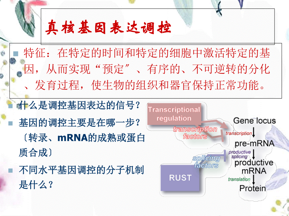 2023年新真核基因表达与调控（教学课件）.ppt_第2页